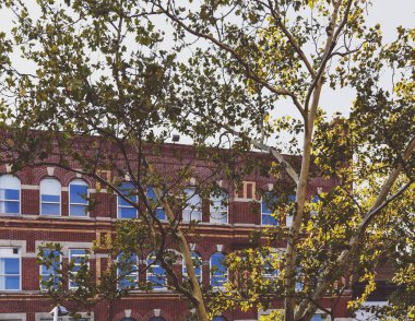 1 Avenue Manhattan'da binalarda detay