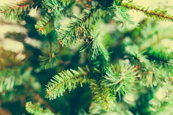 Ramos de árvore de Natal tiro em profundidade rasa de campo — Fotografia de Stock