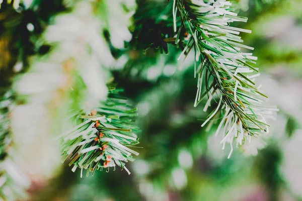 Ramas de árboles de Navidad disparadas a poca profundidad de campo —  Fotos de Stock