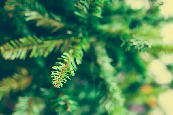 Noel ağacı dalları detay