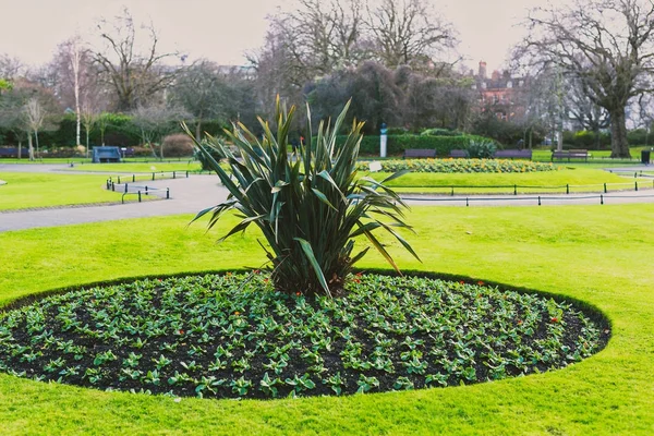 Flower compositions in Saint Stephen's Green park in Dublin city — Stock Photo, Image