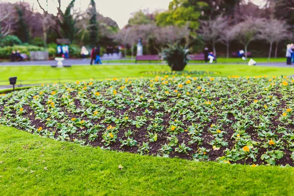 Composições de flores em Saint Stephen 's Green park, na cidade de Dublin — Fotografia de Stock