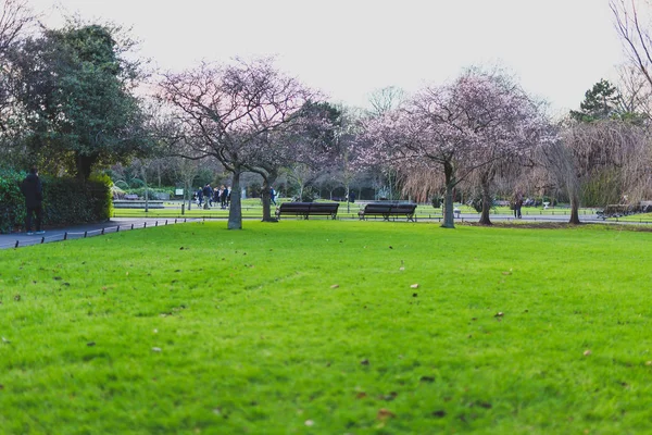 Зелений парк Святого Стефана у центрі Дубліна — стокове фото