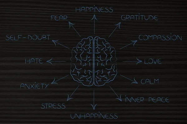 Brain surrounded by list of human emotions — Stock Photo, Image