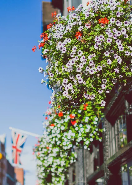 Blumenkompositionen und architektonische Details außerhalb der Libert — Stockfoto