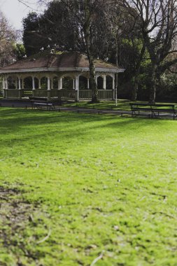 Dublin şehir merkezinde St. Stephen's Green park detay