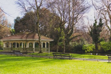 Dublin şehir merkezinde St. Stephen's Green park detay