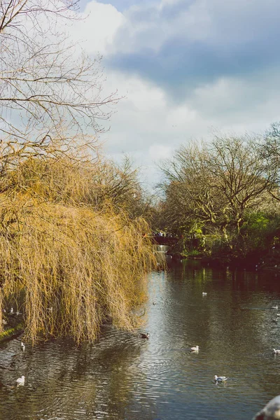 Detalhe do Parque Verde de Santo Estêvão no centro da cidade de Dublin — Fotografia de Stock