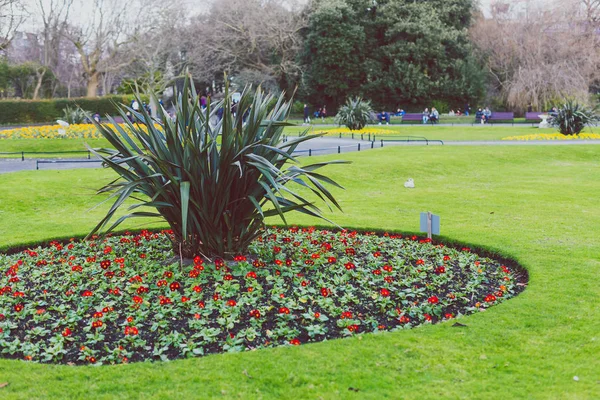 Detail of St Stephen's Green park in Dublin city centre — Stock Photo, Image