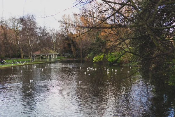 Detalhe do Parque Verde de Santo Estêvão no centro da cidade de Dublin — Fotografia de Stock