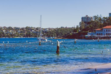 Sydney Manly Beach görünümü