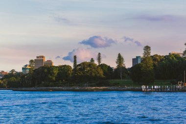 Sydney Harbour'ın güzel koylarından biri olan görünümünü