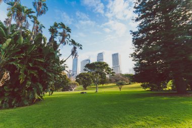 Kraliyet Botanik Bahçeleri olarak Sydney Cbd