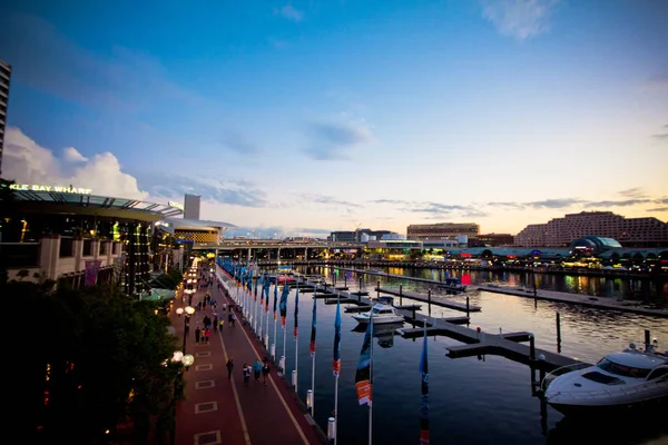 Darling Harbour View alacakaranlıkta — Stok fotoğraf