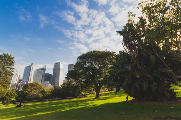 Il Royal Botanic Gardens di Sydney CBD — Foto Stock
