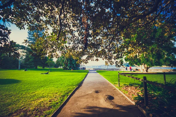 Royal Botanic Gardens i Sydney Cbd — Stockfoto