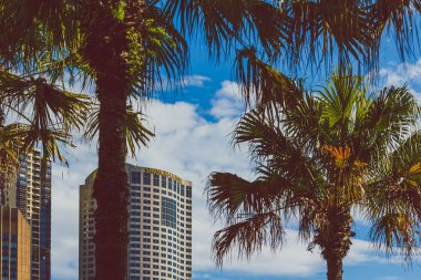 Sydney Harbour yakınındaki Merkezi işletme Circular Quay görünümünü