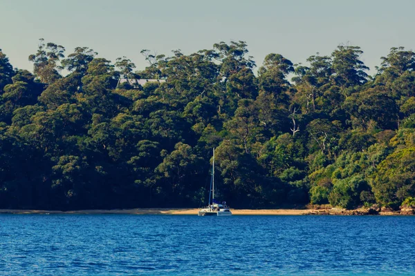 Sydney Australia July 11Th 2013 Exotic Looking Bay Just Sydney — Stock Photo, Image