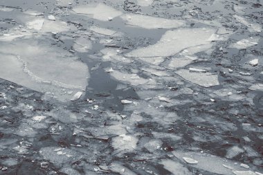 donmuş bir nehrin suyu üzerinde yüzen buz blokları