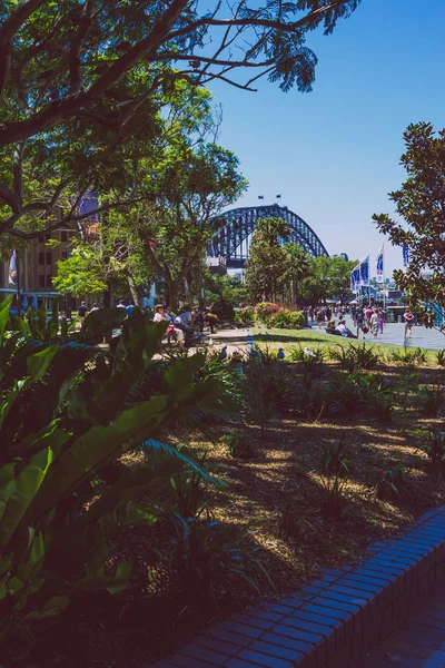 Zona verde en Circular Quay cerca del famoso puerto de Sydney — Foto de Stock