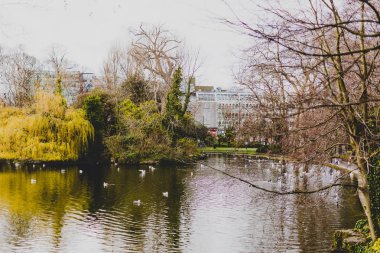 St. Stephen's Green Park'a yakın greft Dublin şehir merkezinde görünümünü