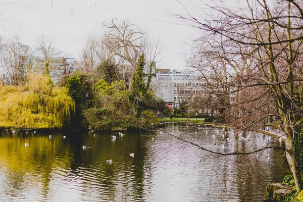 Vista para o Parque Verde de Santo Estêvão, no centro da cidade de Dublin, perto de Graft — Fotografia de Stock