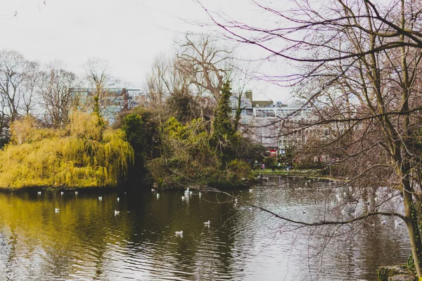 Vista para o Parque Verde de Santo Estêvão, no centro da cidade de Dublin, perto de Graft — Fotografia de Stock