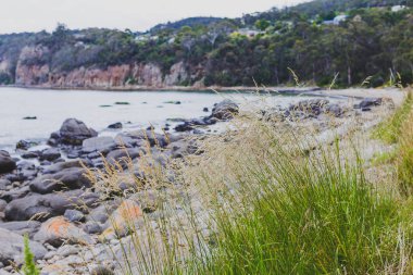 Hobart, Tasmanya ıssız Beach'te kayalar ve bush fo