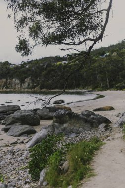 Hobart, Tasmanya ıssız Beach'te kayalar ve walkpath t