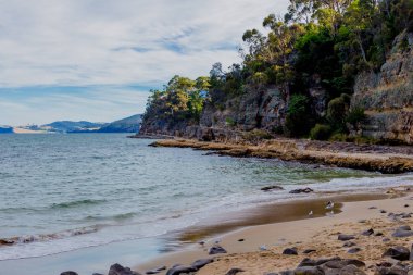 ayrıntı görünümü Tasmanian Beach kayalar ve bush ağaçlar