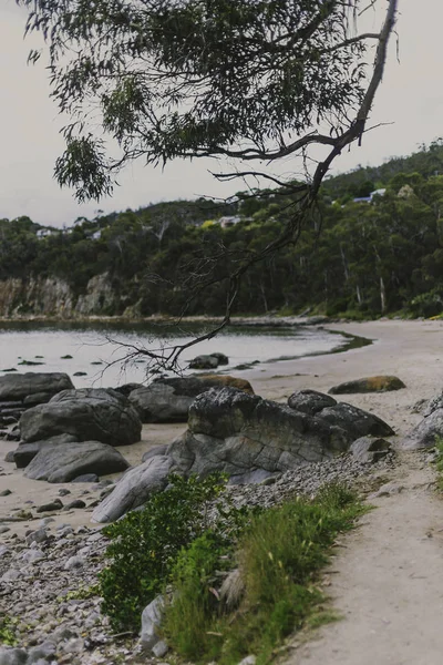 Playa desierta en Hobart, Tasmania con rocas y sendero en t — Foto de Stock