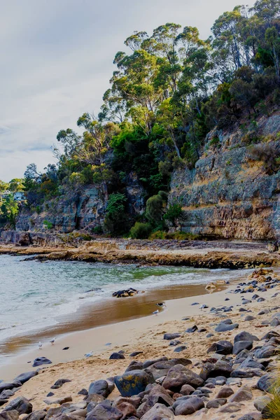 Detailní pohled Tasmanian pláže s balvany a stromy bush — Stock fotografie
