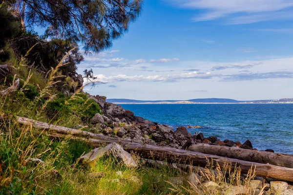 Προβολή λεπτομερειών της Τασμανίας παραλίας με βράχια και δέντρα θάμνων — Φωτογραφία Αρχείου