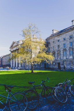 ünlü Trinity college Dublin CI içinde avlu görünümü