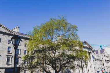 ünlü Trinity college Dublin CI içinde avlu görünümü