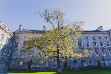 ünlü Trinity college Dublin CI içinde avlu görünümü