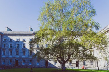 ünlü Trinity college Dublin CI içinde avlu görünümü