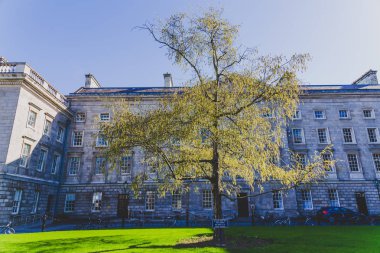 ünlü Trinity college Dublin CI içinde avlu görünümü
