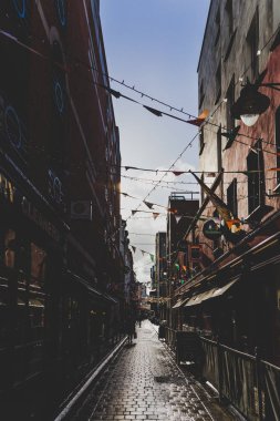 ayrıntılı tarihsel gün ışığında parlayan Irirhs bayrakları