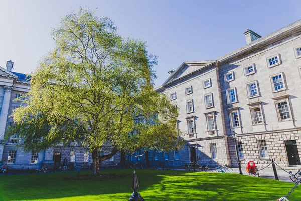 View of the courtyard of the famous Trinity college in Dublin ci — Stock Photo, Image