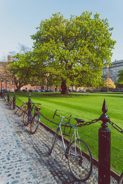 View of the courtyard of the famous Trinity college in Dublin ci — Stock Photo, Image