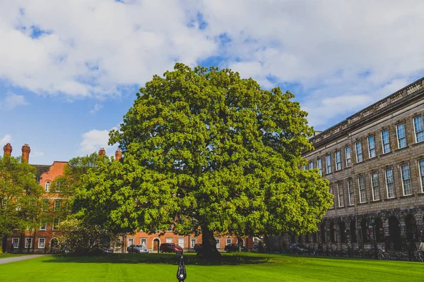 Vista para o pátio do famoso Trinity College em Dublin ci — Fotografia de Stock