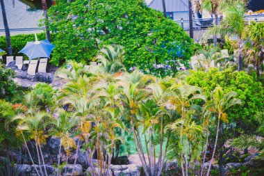Surfers Paradise, Gold Coast Queensland detayını kıyı şeridi