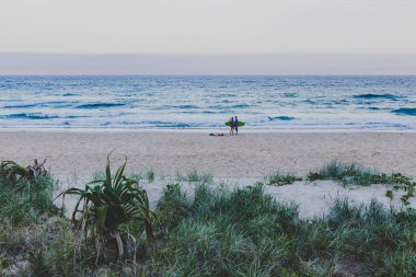 plaj ve peyzaj Surfers Paradise Gold Coast