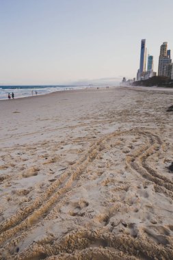 plaj ve peyzaj Surfers Paradise Gold Coast