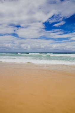 plaj ve peyzaj Surfers Paradise Gold Coast