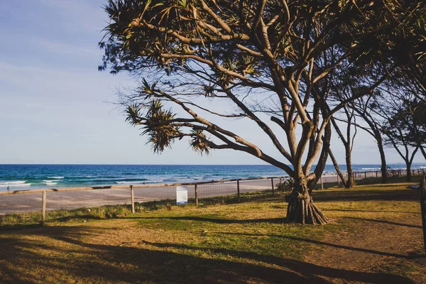 La playa y el paisaje en Surfers Paradise en la Costa Dorada — Foto de Stock