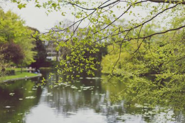 Şehir Parkı erken bahar bitki örtüsü ile detay