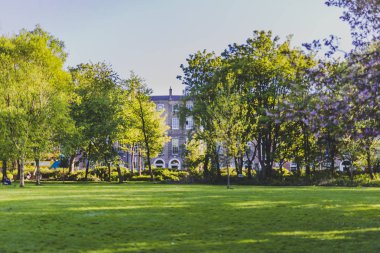 Ayrıntı Merrion Meydanı'nın Park Dublin şehir merkezinde