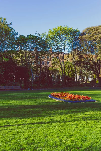 Detail des Parks am Merrion Square im Dubliner Stadtzentrum — Stockfoto